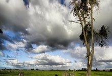 天涯重庆论坛情感