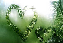 天涯论坛里的言情小说：那些年我们一起追过的爱情