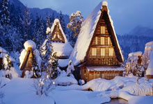 天涯论坛里的白马传说