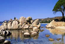 天涯论坛里的言情小说：那些年我们一起追过的爱情